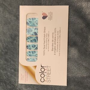 Color Street Manicure Pool Intentions